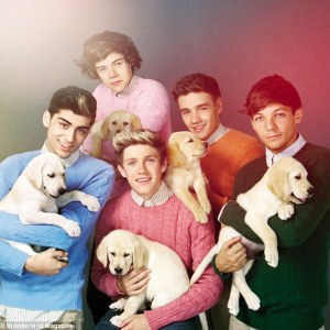 One Direction One Direction